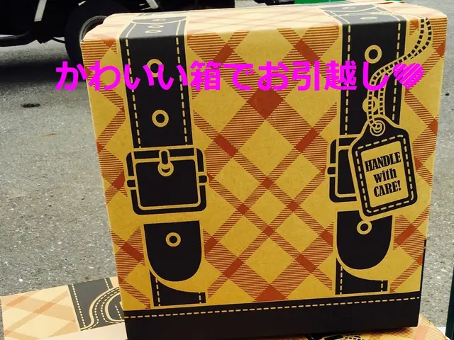 引越専門法人★実績60万★積み放題（2ｔショート）洗濯機設置ハンガーボックス無料サービスの画像