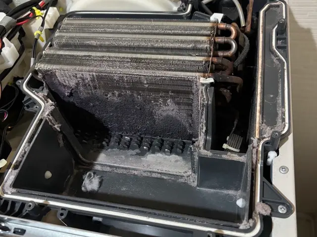 11/16(日)までにご予約で￥30,000→￥22,000！☆ご予約多数感謝☆サービスの画像