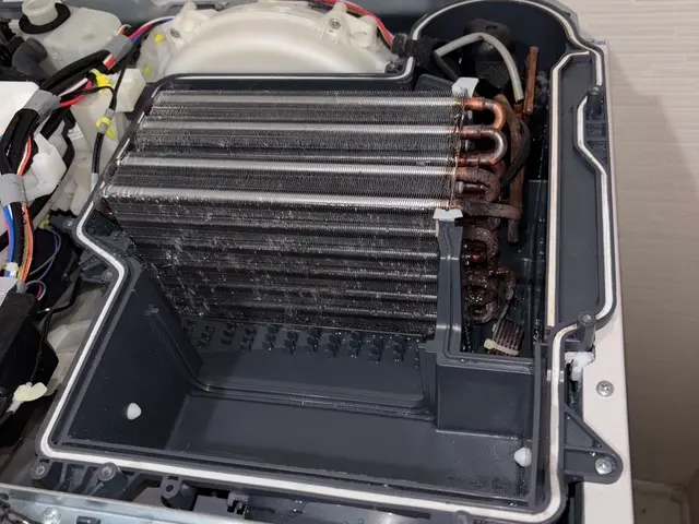 11/16(日)までにご予約で￥30,000→￥22,000！☆ご予約多数感謝☆サービスの画像