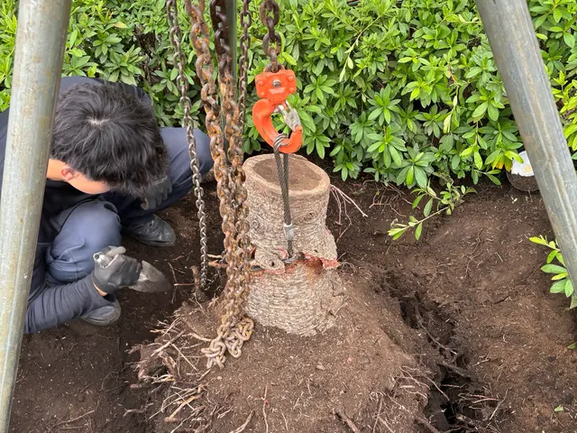 誠実対応！庭木の伐採・抜根専門店サービスの画像