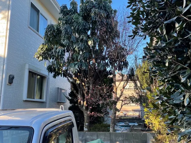 誠実対応！庭木の伐採・抜根専門店サービスの画像