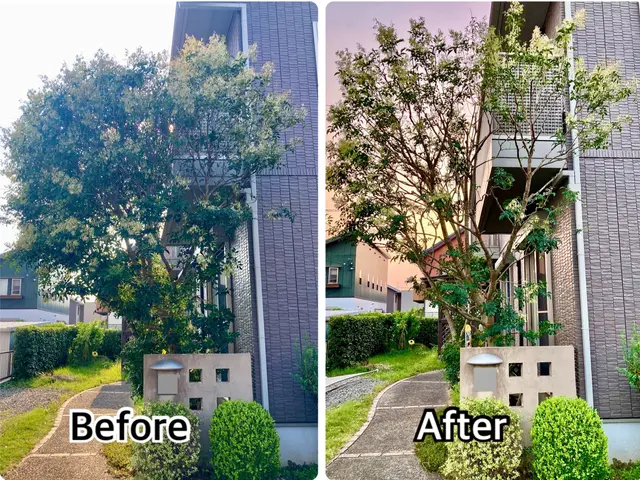 美しい仕上がりと将来を見据えた丁寧な作業をお約束します！◎女性スタッフ同行可能◎サービスの画像