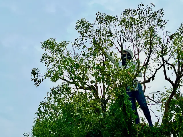 美しい仕上がりと将来を見据えた丁寧な作業をお約束します！◎女性スタッフ同行可能◎サービスの画像