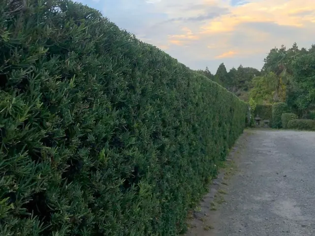 【女性スタッフ指定OK】駐車場代は当社負担！小さなご依頼もお気軽に◉サービスの画像