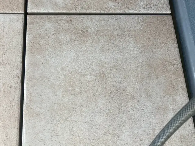 【保険加入店舗】お客様に寄り添う安心対応｜掃除屋おっくんのクリーニングサービスの画像