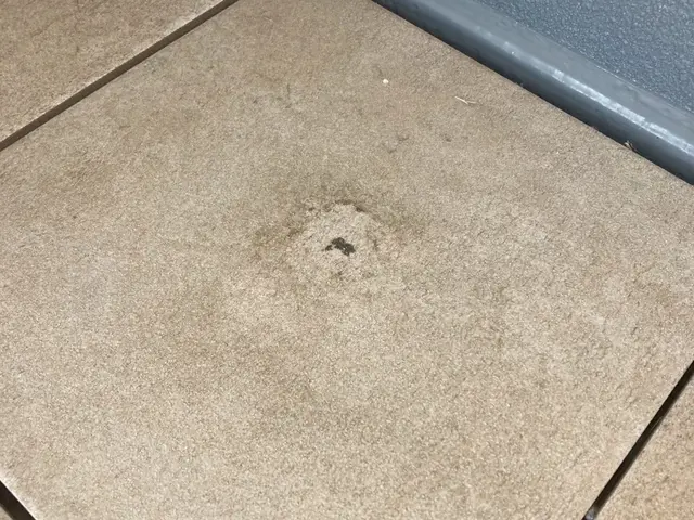 【保険加入店舗】お客様に寄り添う安心対応｜掃除屋おっくんのクリーニングサービスの画像