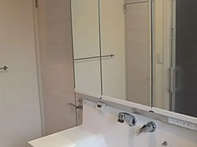 一日２件限定の洗面所クリーニングサービスの画像