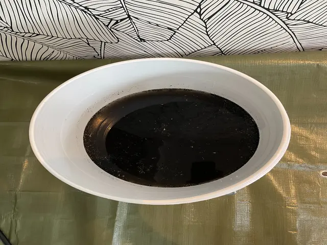 ☆複数割引☆完全分解対応☆高技術×高サービス×高評価☆消臭抗菌コート無料☆サービスの画像