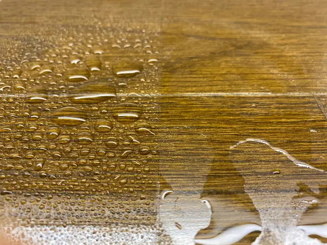 フロアコーティング専門会社【ペット専用】関節症予防の為のグリップ重視コーティングサービスの画像