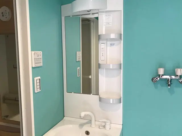 洗面ボール、鏡、蛇口、排水口、換気扇、床まできれいにいたします！サービスの画像