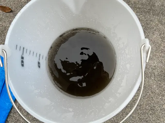 ◉ペットがいるご家庭でもお任せください！◉エアコンのクリーニング￥8,000～サービスの画像