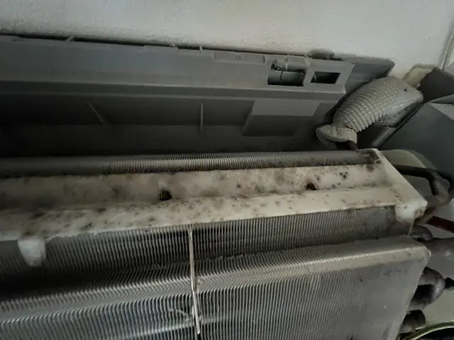 ◉ペットがいるご家庭でもお任せください！◉エアコンのクリーニング￥8,000～サービスの画像