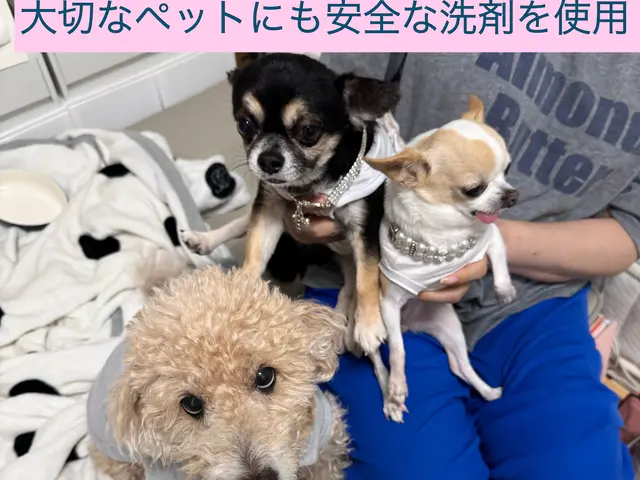 ベランダ、バルコニー高圧洗浄、10平米からサービスの画像