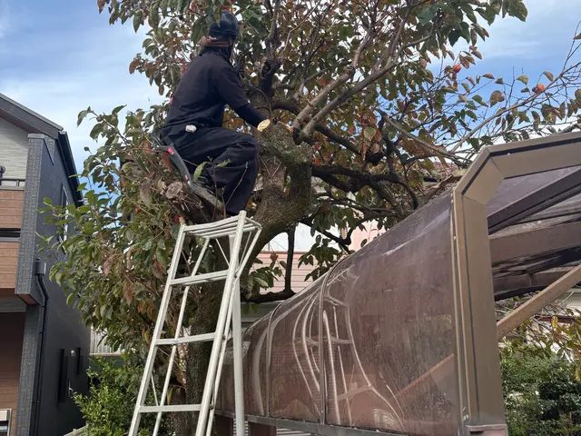 ◤庭が蘇る◢熟練職人が丁寧・スピーディに仕上げる庭木剪定サービスの画像
