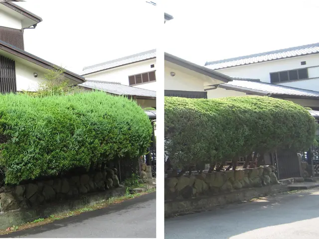 【安全でスッキリしたお庭に】職人歴23年、１級造園技能士の私がお伺いします。！サービスの画像