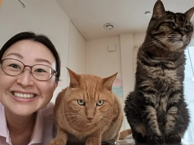 【看護師＋犬猫行動アナリスト】ペットシッター専業プロだから圧倒的安心感で大好評◎サービスの画像