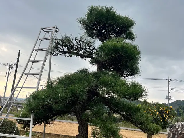 ◎年中無休◎予約から作業まで100%自社対応◎女性スタッフ同行可能サービスの画像