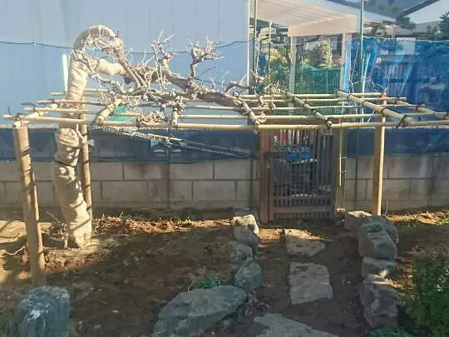 【実績15年】1本からOK地域密型、安心、女性スタッフ同行も可能！作業外注なし◎サービスの画像