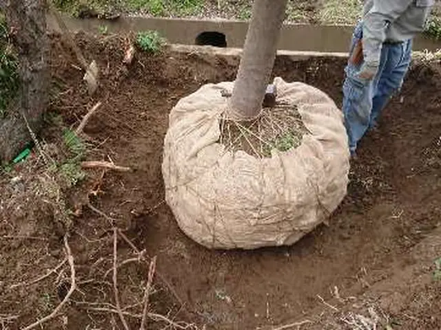 【実績15年】1本からOK地域密型、安心、女性スタッフ同行も可能！作業外注なし◎サービスの画像