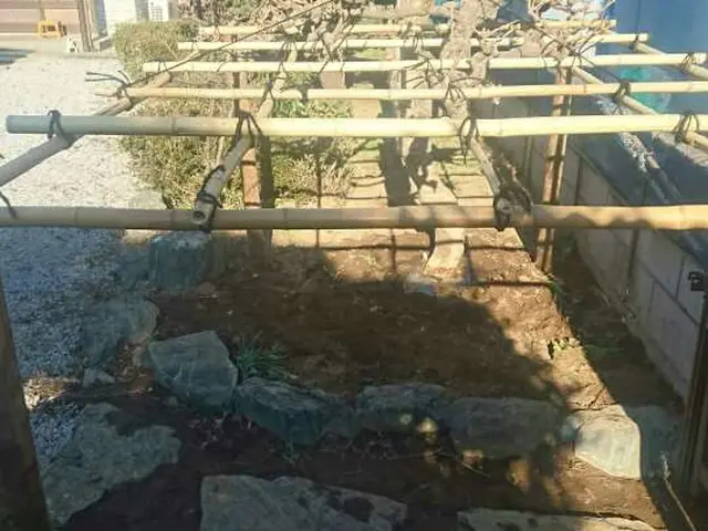 【実績15年】1本からOK地域密型、安心、女性スタッフ同行も可能！作業外注なし◎サービスの画像