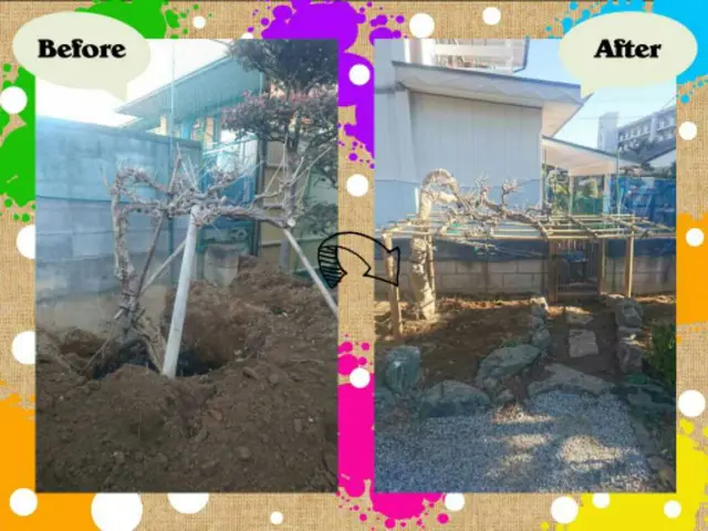 【実績15年】1本からOK地域密型、安心、女性スタッフ同行も可能！作業外注なし◎サービスの画像