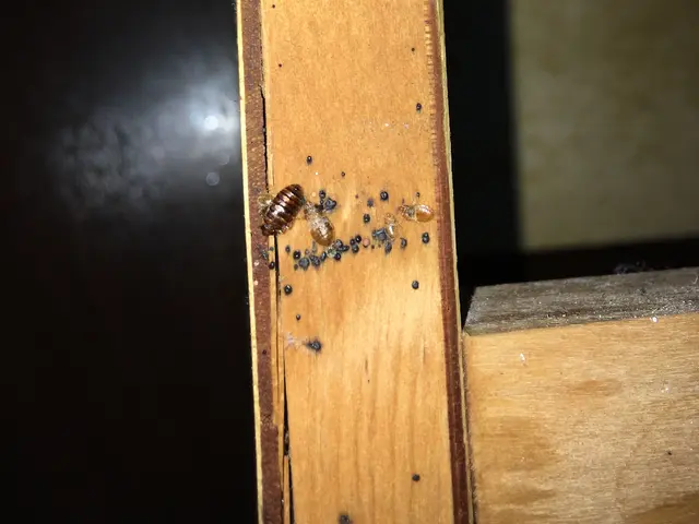 【100%自社対応】地域密着♪家族の安らげる空間をお守りします！サービスの画像