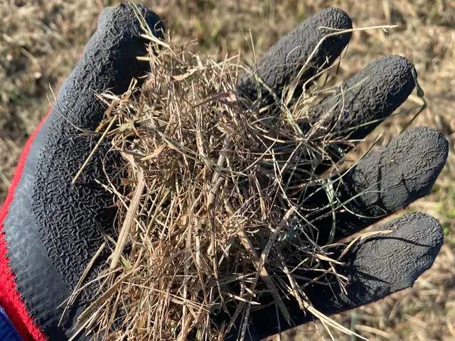 休耕地・無耕作地・遊休地など平坦地をハンマーナイフモアという機械で草刈りしますサービスの画像