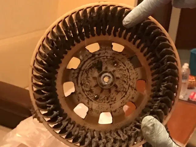 頑固な汚れをプロの技術で除去します。サービスの画像