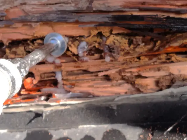 業界歴20年以上の実績！責任者として施工実績2,000件以上！サービスの画像