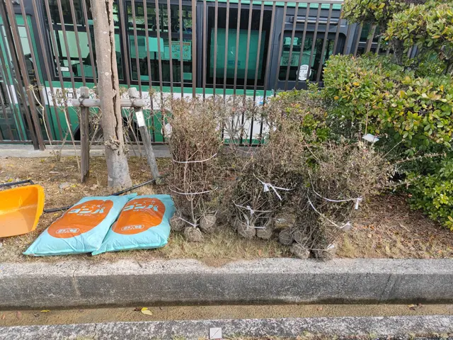 お庭のイメチェン！【業歴14年】すべて自社対応◆損害保険加入済み◆◆大手経験有サービスの画像