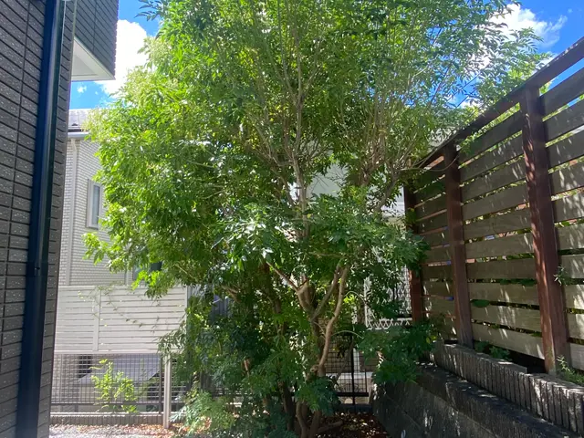 お庭の事なら何でも「サーフガーデン」にご相談下さい。私が責任を持って伺います。サービスの画像