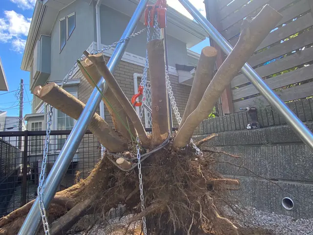 お庭の事なら何でも「サーフガーデン」にご相談下さい。私が責任を持って伺います。サービスの画像