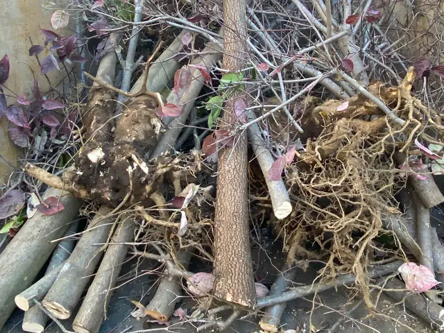 お庭の事なら何でも「サーフガーデン」にご相談下さい。私が責任を持って伺います。サービスの画像