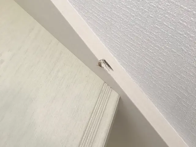 小山市発◆作業外注なし100％自社施工！◆営業時間外も対応します！サービスの画像