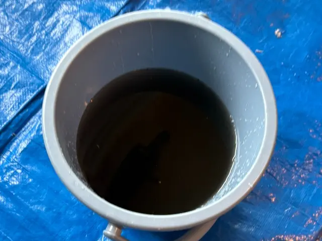 カビ・ホコリをためない暮らし★自分じゃ無理なところ、やります！サービスの画像