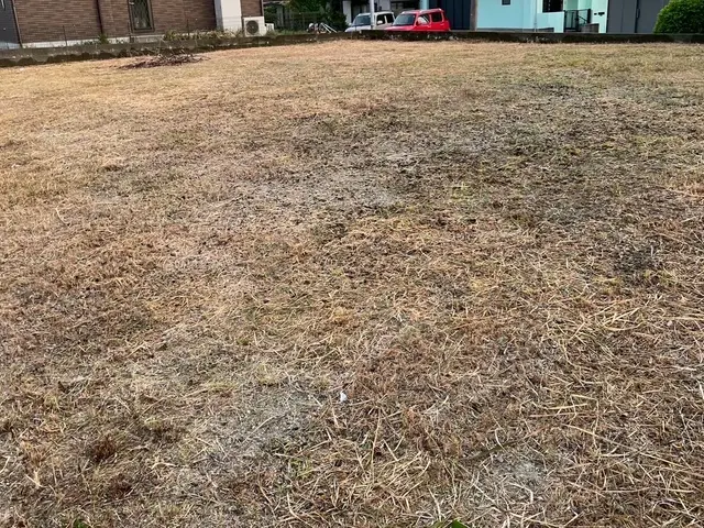 3月新規出店◎庭整えや売却前・建築前の整地◎丁寧＆徹底清掃【福岡市】サービスの画像