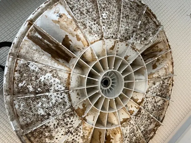 ◎損害保険加入済◎ハウスクリーニング士有資格者が伺います◎PayPay払い可能サービスの画像