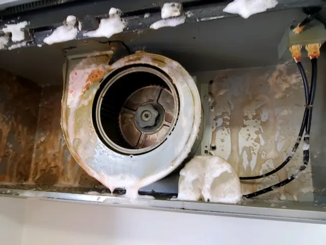 年明けの今がお得！コロナ対策万全★2000件以上の実績あり★損害保険加入★サービスの画像