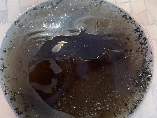 損害保険加入済◎駐車代当店負担◎営業時間外・対応地域外もご相談歓迎！サービスの画像