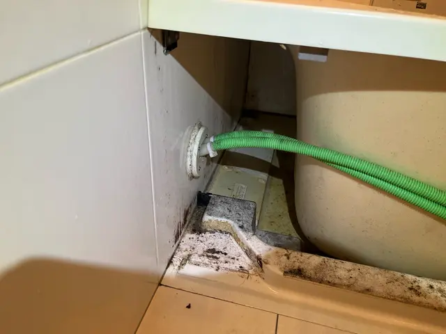 神奈川県・東京都　〓年末に向けたセットクリーニング〓サービスの画像