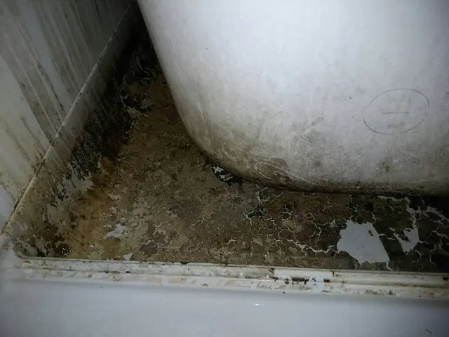 カビ、水垢を徹底洗浄！エプロン内部まで！損保加入済◎クレジットカード利用可！サービスの画像