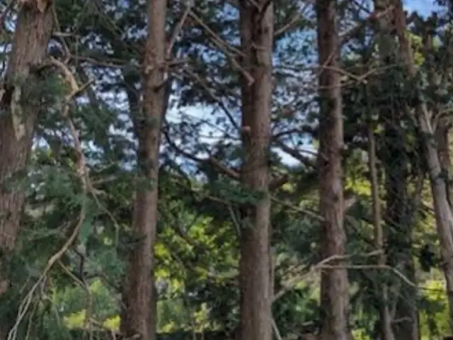 プロの技術でご満足いただけるように心を込めて作業いたしますサービスの画像