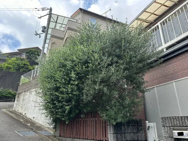 【まとめて割引あり】最短当日、土日祝対応◆追加料金なしの明朗会計◆高いリピート率サービスの画像