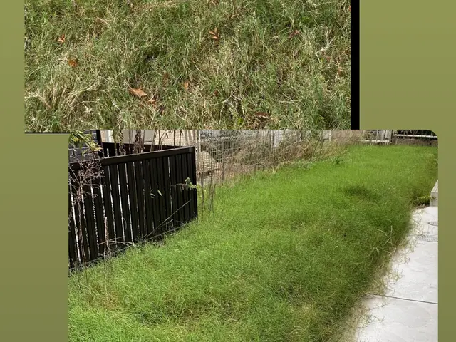 草刈り代行サービスの画像