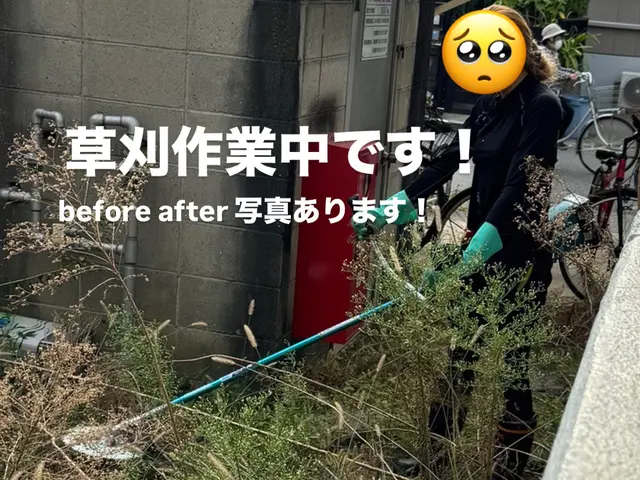 草刈り代行サービスの画像