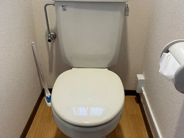 【業歴10年の経験と実績】温水洗浄便座交換取付け  店長の私がお伺い致します!!サービスの画像