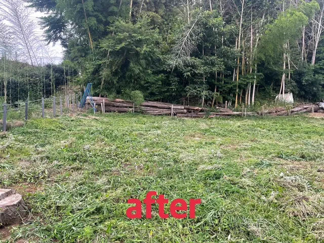 【草刈り全般請け負います】★丁寧！安心！信頼して頂ける様に心がけています。サービスの画像