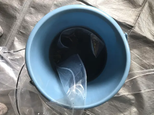 クリーンな空気を部屋中に！サービスの画像