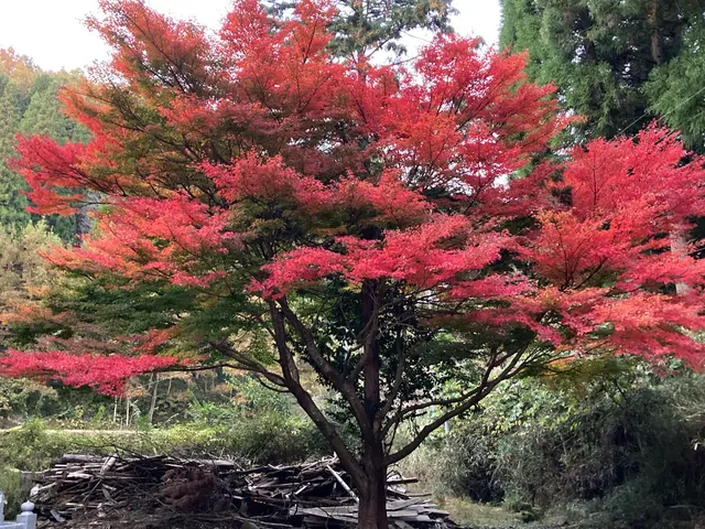 大手経験スタッフが直接対応！営業時間外も相談可能な自社完結サービスサービスの画像