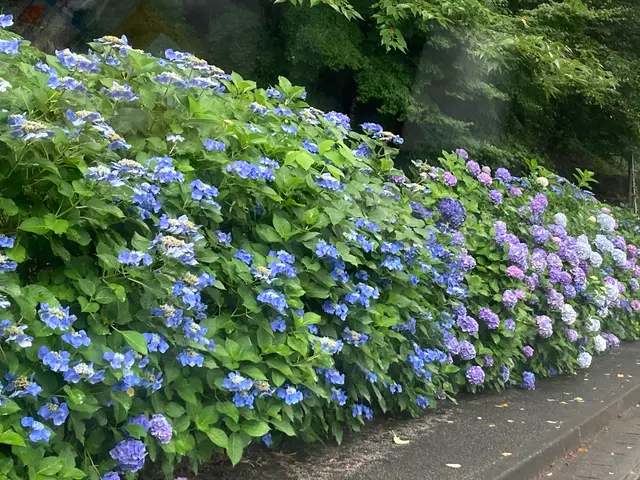 大手経験スタッフが直接対応！営業時間外も相談可能な自社完結サービスサービスの画像